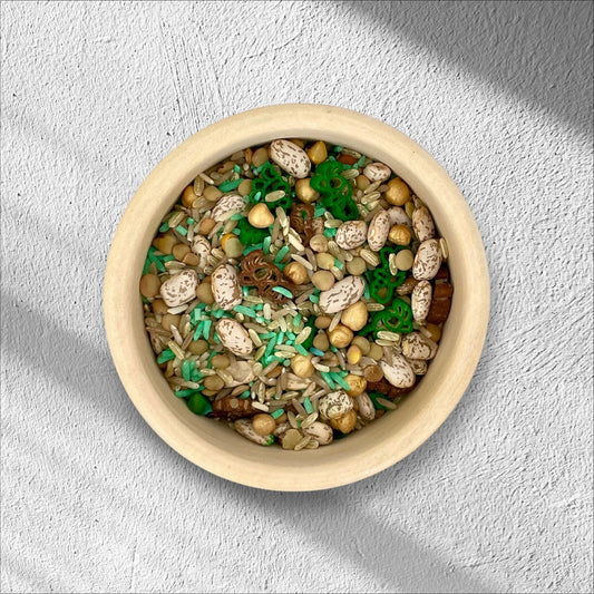 Sensory Base - Dino Discovery